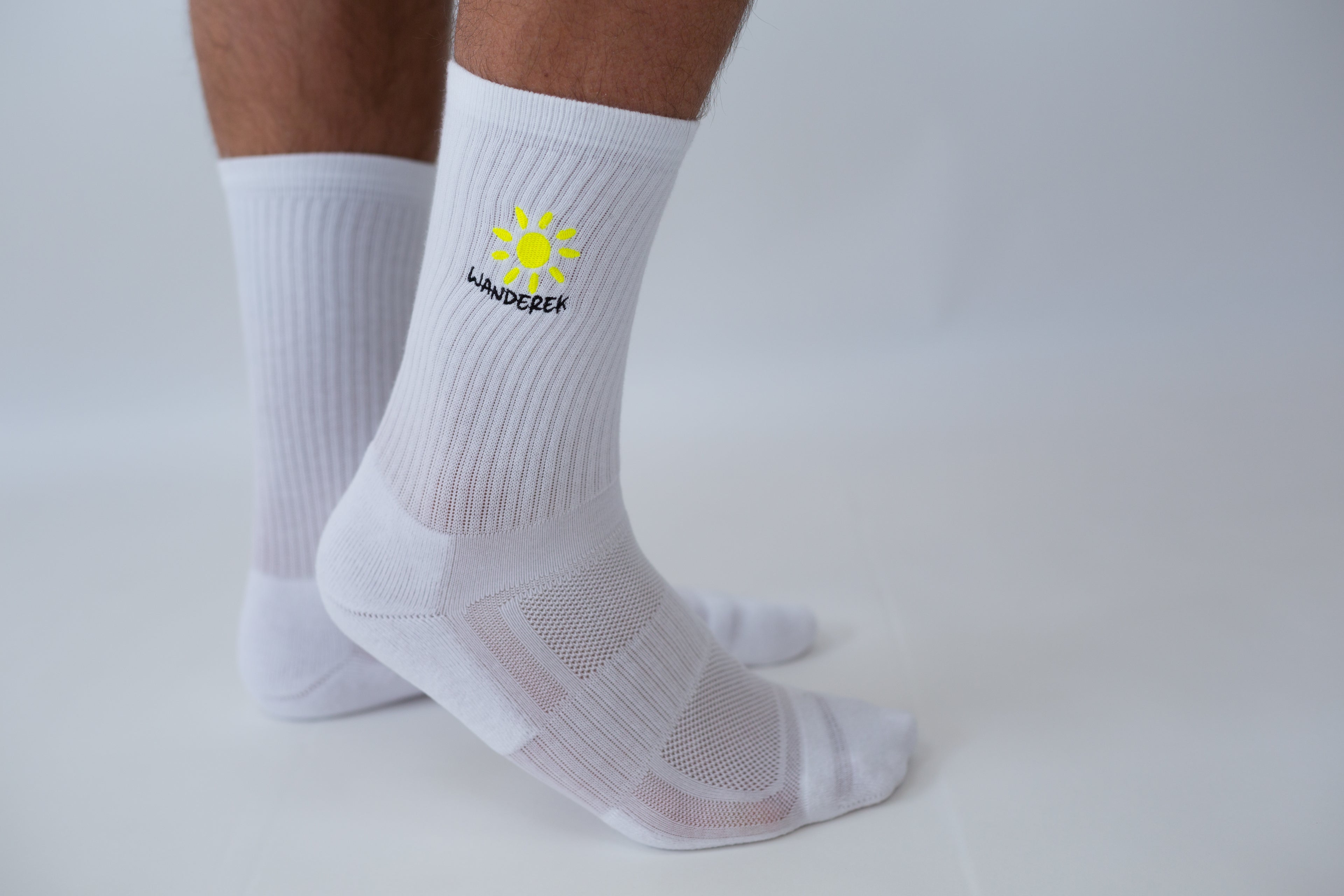 Sunshine state socks