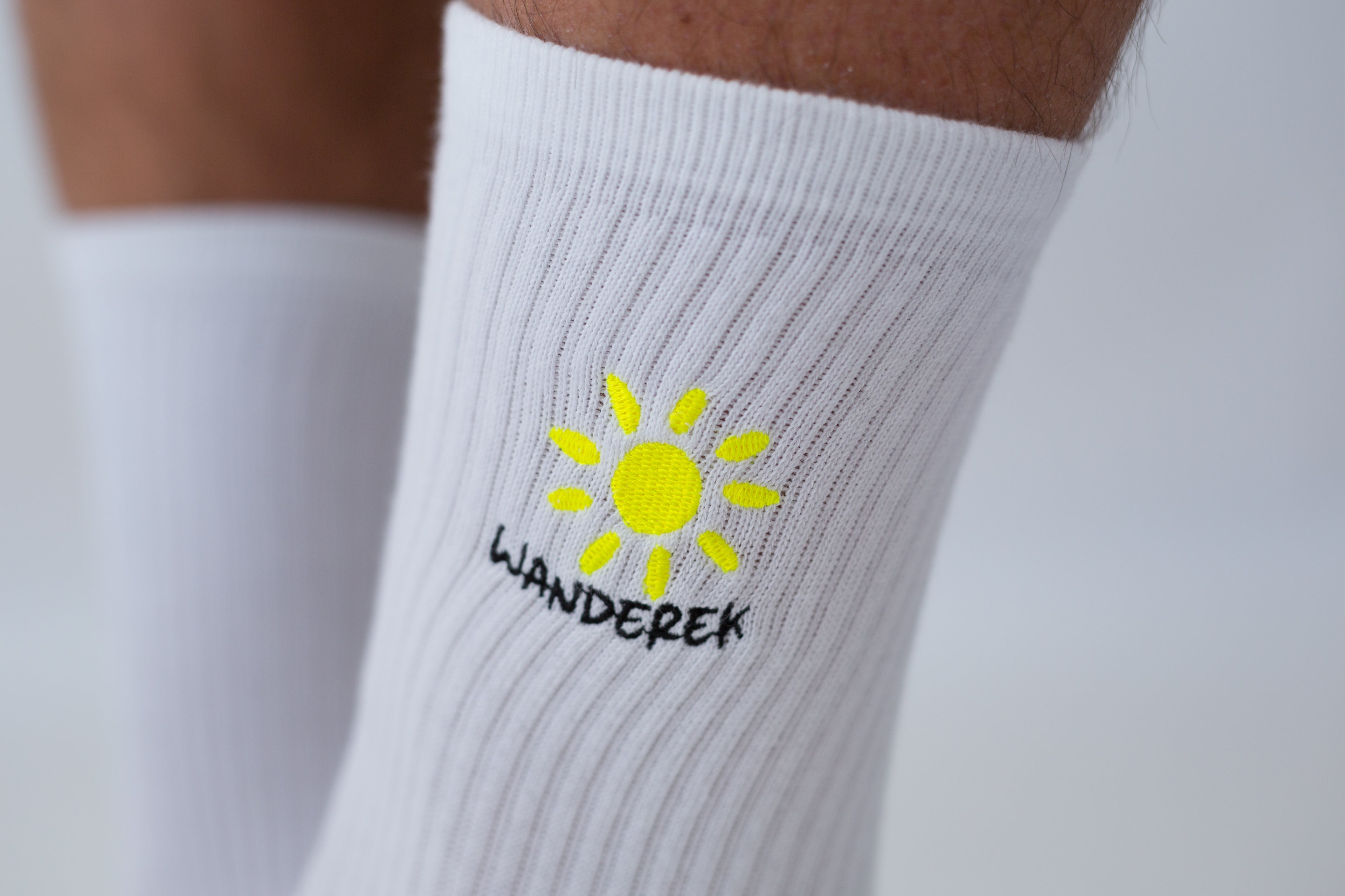 Sunshine state socks